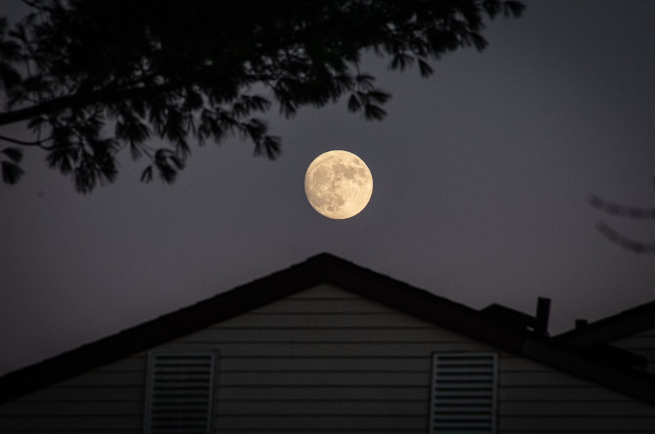 portfolio-03 A full moon illuminating the night sky above a silhouetted house with trees.